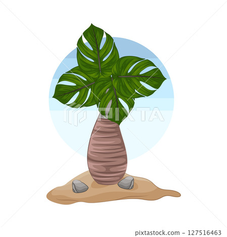 Illustration of Palm Tree Illustration of Palm Tree 127516463
