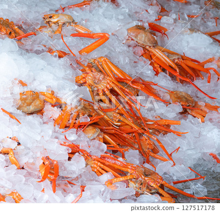 Freshly caught red snow crab Freshly caught red snow crab 127517178