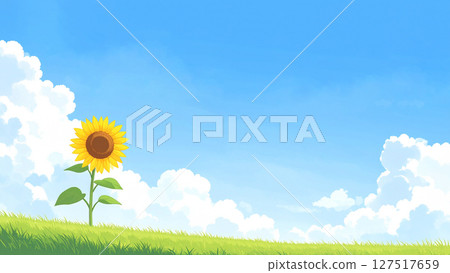 一朵向日葵和藍天 127517659