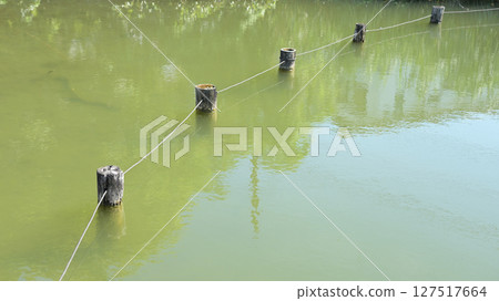 A pond 127517664