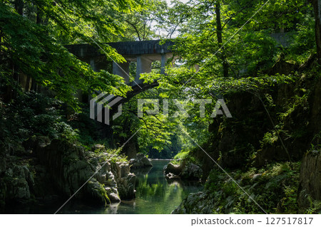Hayama Meganebashi Suien Park is dazzling with greenery 127517817