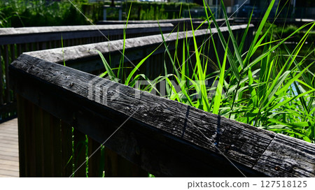 海濱公園長廊 127518125