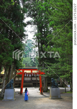 Koyasan Sannoin Temple Danjo 127518227