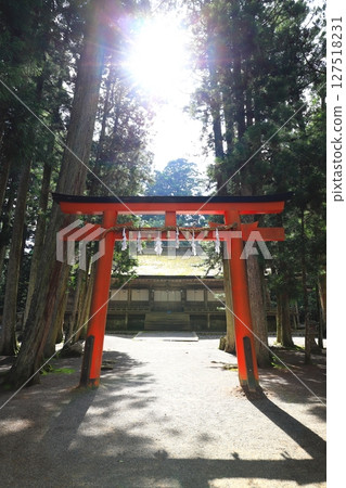Koyasan Sannoin Temple Danjo Koyasan Sannoin Temple Danjo 127518231