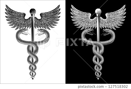 Caduceus Medical Asclepius Rod Doctor Symbol Icon 127518302