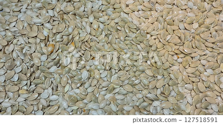 Useful pumpkin seeds. Healthy food. Natural food. White pumpkin seeds 127518591