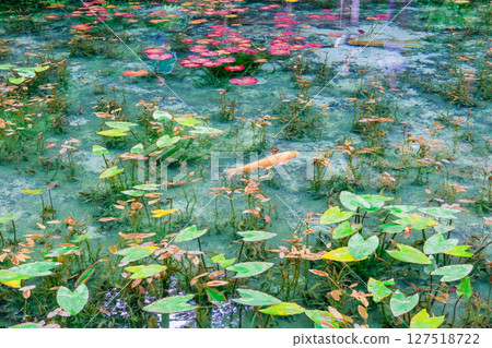 Nameless Pond in Seki City, Gifu Prefecture 127518722