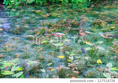 Nameless Pond in Seki City, Gifu Prefecture Nameless Pond in Seki City, Gifu Prefecture 127518726