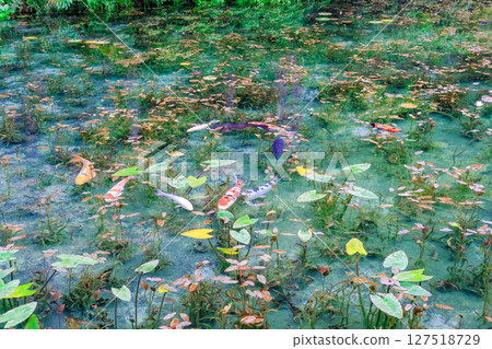 岐阜縣關市無名池塘 127518729