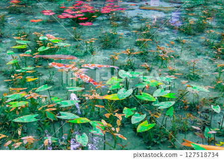 岐阜縣關市無名池塘 127518734