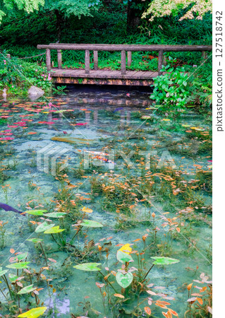 Nameless Pond in Seki City, Gifu Prefecture Nameless Pond in Seki City, Gifu Prefecture 127518742