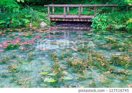 Nameless Pond in Seki City, Gifu Prefecture 127518745