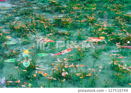 岐阜縣關市無名池塘 127518749