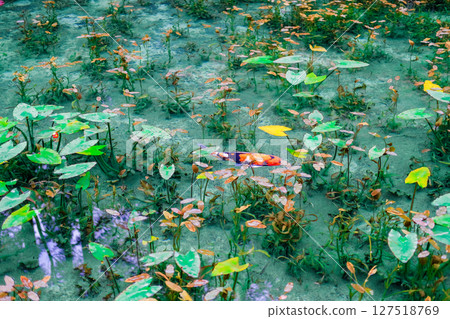 岐阜縣關市無名池塘 127518769