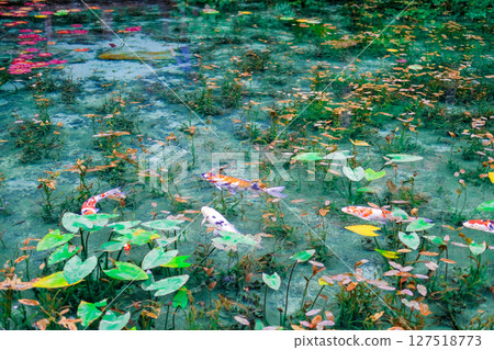 Nameless Pond in Seki City, Gifu Prefecture Nameless Pond in Seki City, Gifu Prefecture 127518773
