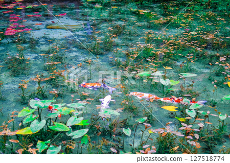 Nameless Pond in Seki City, Gifu Prefecture Nameless Pond in Seki City, Gifu Prefecture 127518774