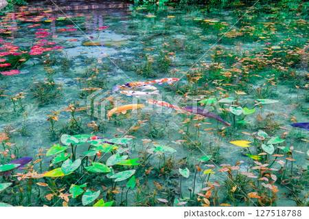 岐阜縣關市無名池塘 127518788