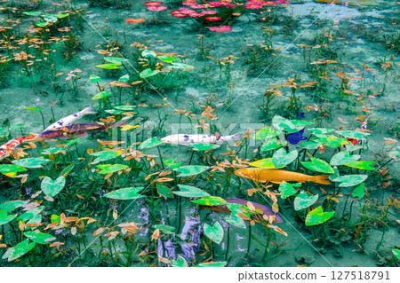 岐阜縣關市無名池塘 127518791