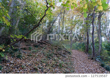 初澤山高尾天神社 初澤山高尾天神社 127519587
