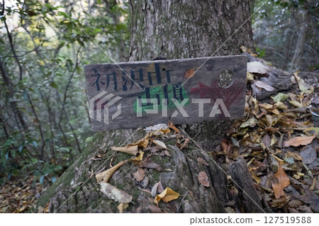 初澤山高尾天神社 127519588