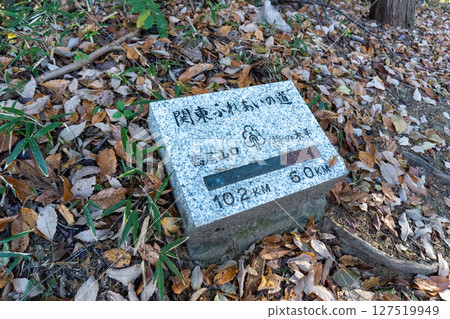 Minami Takao Seven Summits Trail, around Mount Takao 127519949