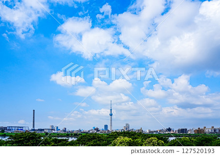 清爽的藍天、晴空塔與城市景觀 127520193