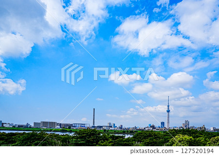 A refreshing blue sky, Skytree and cityscape A refreshing blue sky, Skytree and cityscape 127520194