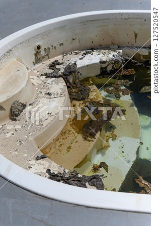 Dirty abandoned swimming pool with stagnant water and debris. 127520547
