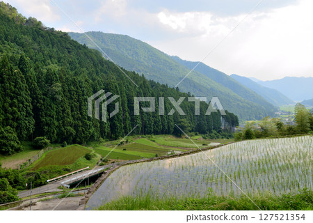 Yamada's rice terraces, located in a valley alongside a tributary of the Somekawachi River and a road, are characterized by the graceful curves of their stone walls. 127521354