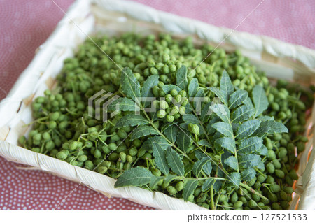 Sansho berries and buds have the taste of spring and the scent of early summer. Japanese ingredients. Served in a basket. Sansho berries and buds have the taste of spring and the scent of early summer. Japanese ingredients. Served in a basket. 127521533