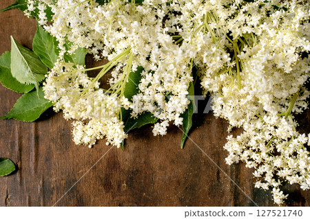 Fresh white elderflower blossoms with green leaves arranged on rustic wooden background. Natural herbal ingredient for cooking medicine traditional remedies. Fresh white elderflower blossoms with green leaves arranged on rustic wooden background. Natural herbal ingredient for cooking medicine traditional remedies. 127521740