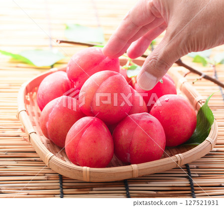 Early plums arranged in a basket 127521931