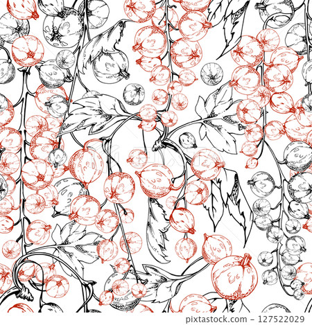 Currant gooseberry cluster bunch raceme with leaves, ripe garden berry casseille jostaberry juneberry, vector ink hand drawn. Isolated seamless pattern. Seasonal menu cover, fabric, eco wrapping paper Currant gooseberry cluster bunch raceme with leaves, ripe garden berry casseille jostaberry juneberry, vector ink hand drawn. Isolated seamless pattern. Seasonal menu cover, fabric, eco wrapping paper 127522029