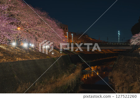 靜岡縣掛川市掛川城週邊的掛川櫻花風景 127522260