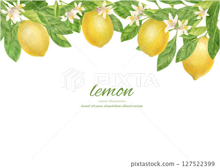 Frame decorated with fresh lemons and lemon flowers painted in watercolor Frame decorated with fresh lemons and lemon flowers painted in watercolor 127522399