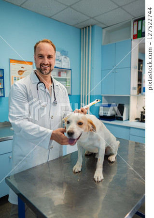 Veterinarian checks health of a happy dog in a clinic Veterinarian checks health of a happy dog in a clinic 127522744