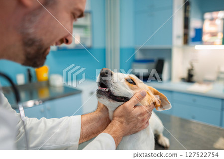 Joyful reunion between vet and playful dog at animal clinic Joyful reunion between vet and playful dog at animal clinic 127522754