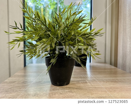 An artificial flower in a black pot decorates the cafe interior. High quality photo 127523085