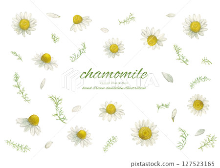 水彩洋甘菊花與天然卡通套裝 127523165