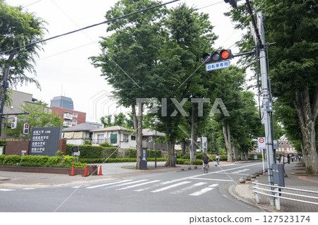 Zelkova trees line the street in front of the main gate of Seikei University (Kichijoji Kitamachi, Musashino City, Tokyo) Zelkova trees line the street in front of the main gate of Seikei University (Kichijoji Kitamachi, Musashino City, Tokyo) 127523174