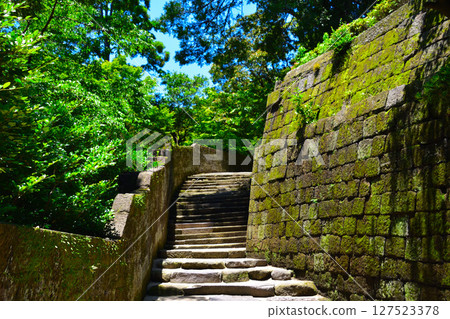 Seniwaoen Seniwaoen 127523378