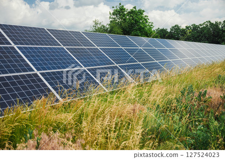 Solar panels in a rural field surrounded by overgrown grass and wild vegetation 127524023