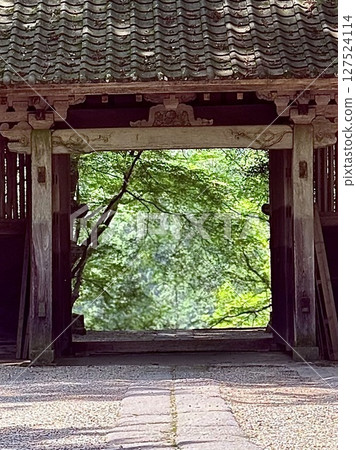 Korankei峽谷藍色秋葉 127524114