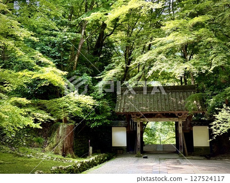 Korankei峽谷藍色秋葉 127524117