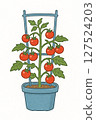 扁平櫻桃番茄的簡單圖解 127524203