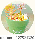 Mouse character mascot with succulents planted in a green pot 127524320