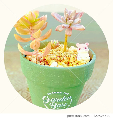 老鼠吉祥物，綠色花盆裡種多肉植物 127524320