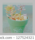 Mouse character mascot with succulents planted in a green pot 127524321