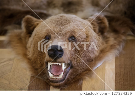 The head of a stuffed bear with a bared mouth and fangs. 127524339