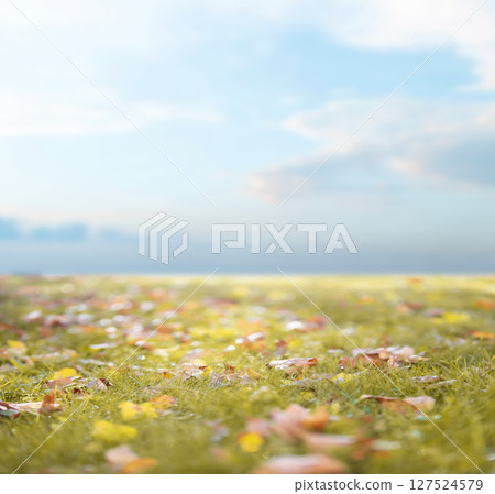 Autumn background of maple leaves on the grass and blue sky. Autumn background of maple leaves on the grass and blue sky. 127524579